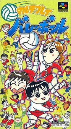 Multi Play Volleyball cover
