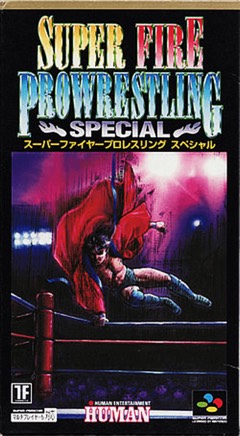 Super Fire Pro Wrestling Special cover