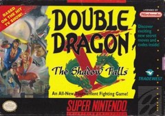 Double Dragon V: The Shadow Falls cover